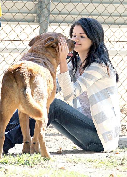 hunden_ar_selena_gomez_basta_van.jpg